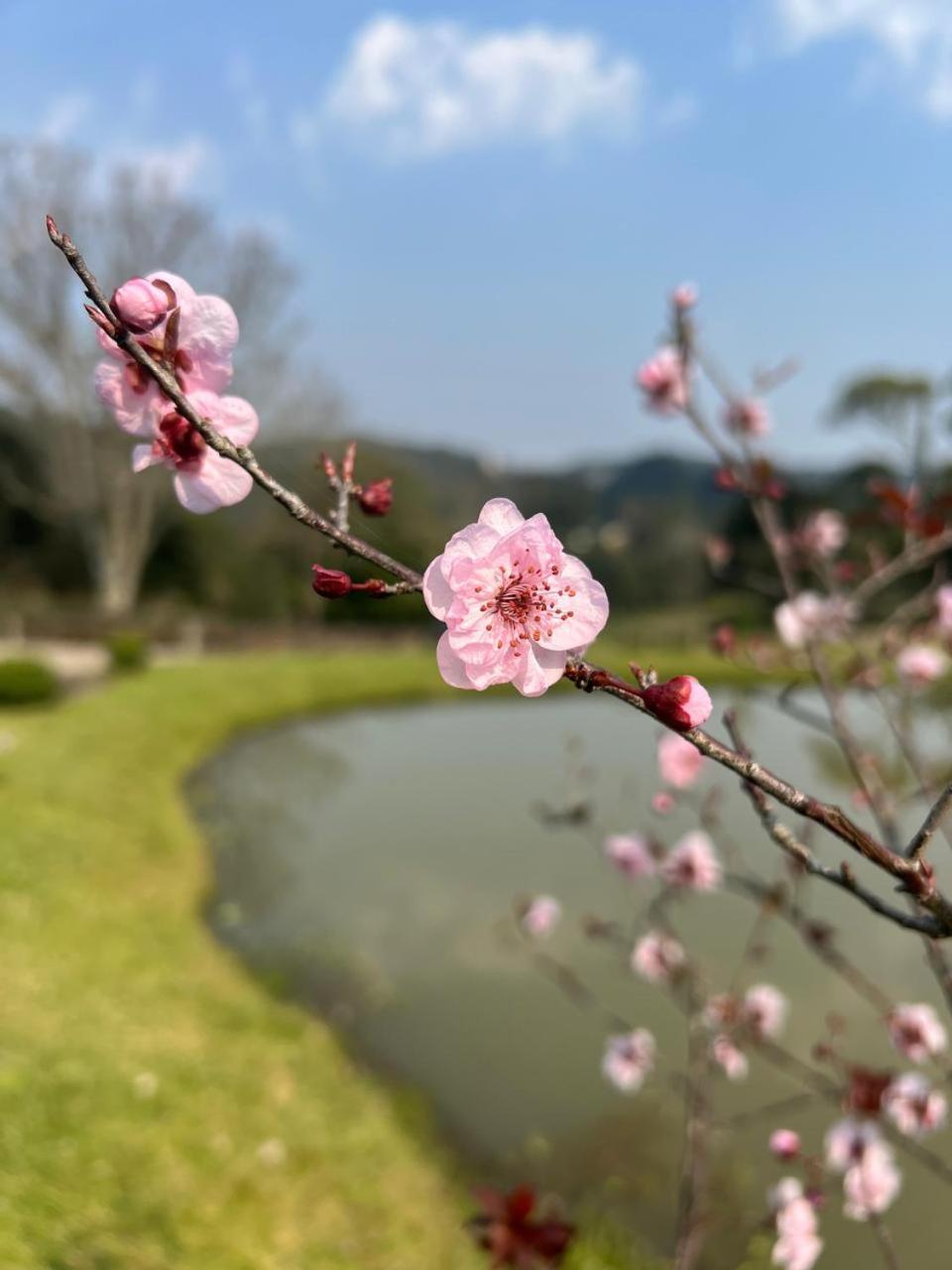 A Estalagem Hospedaria Flores da Cunha Luaran gambar